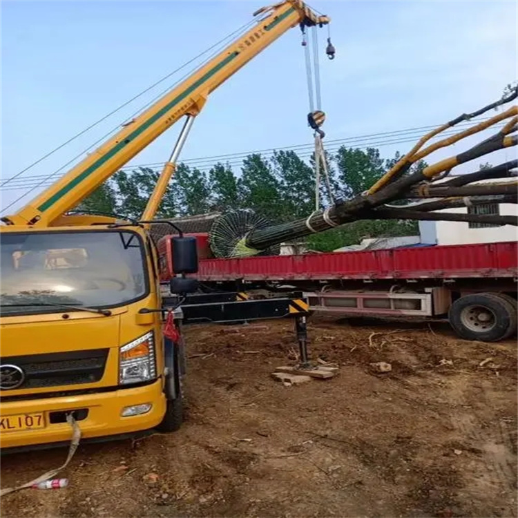 武汉100吨吊车租赁费用怎么算？3大关键因素+省钱技巧全解析